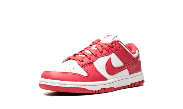 Dunk - Archeo Pink